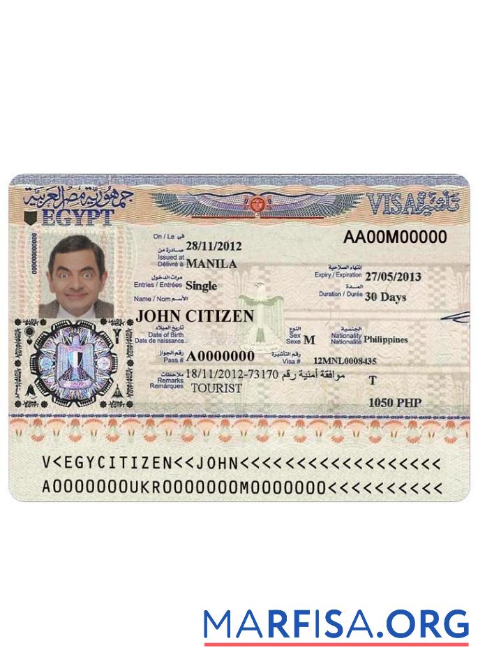 Realistic Egypt visa real example